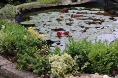 A-front-garden-pond