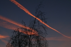 Contrails-in-January